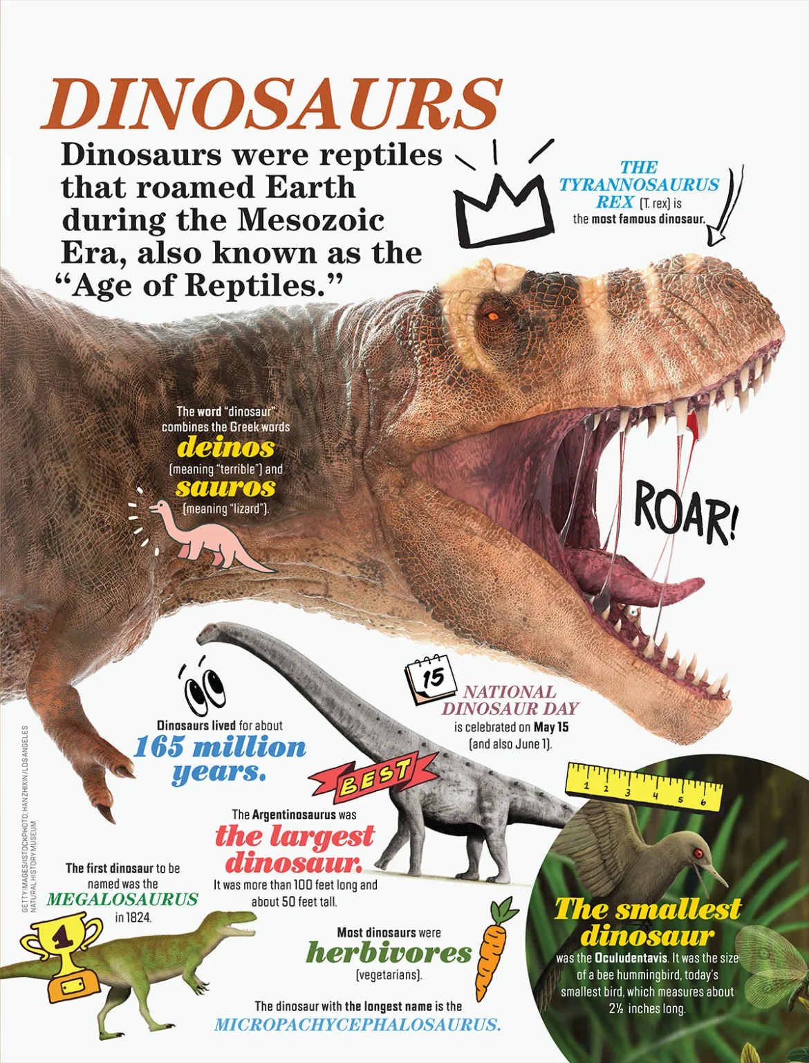 Dinosaurs_Related_ Facts